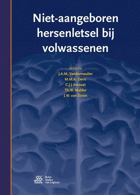 bokomslag Niet-Aangeboren Hersenletsel Bij Volwassenen