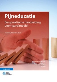 bokomslag Pijneducatie: Een Praktische Handleiding Voor (Para)Medici