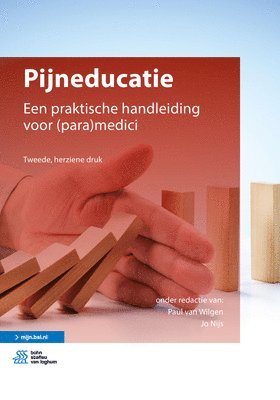 bokomslag Pijneducatie: Een Praktische Handleiding Voor (Para)Medici