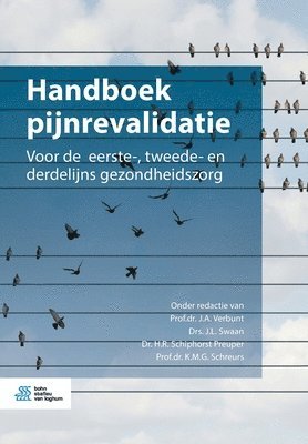 bokomslag Handboek Pijnrevalidatie