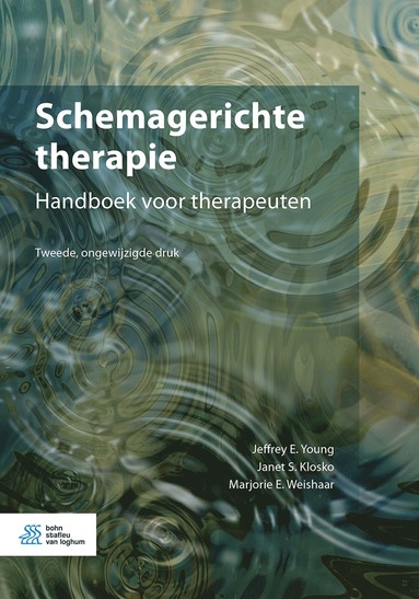 bokomslag Schemagerichte therapie