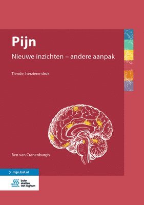 bokomslag Pijn