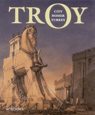 Troy: City, Homer and Turkey 1