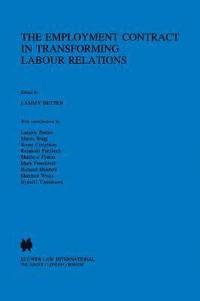 bokomslag The Employment Contract in Transforming Labour Relations