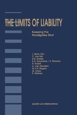 bokomslag Limits of Liability