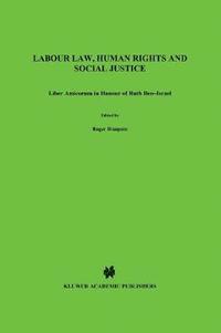 bokomslag Labour Law, Human Rights and Social Justice