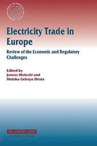 bokomslag Electricity Trade in Europe Review of the Economic and Regulatory Changes