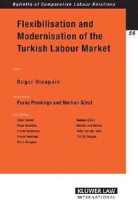 bokomslag Flexibilisation and Modernisation of the Turkish Labour Market