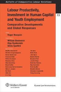 bokomslag Labour Productivity, Investment in Human Capital and Youth Employment