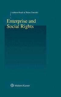 bokomslag Enterprise and Social Rights