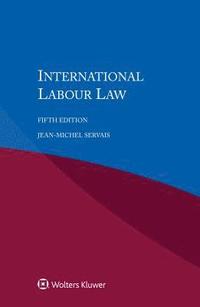 bokomslag International Labour Law