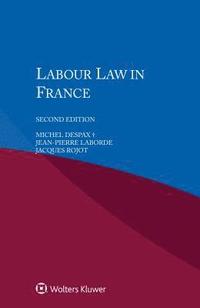 bokomslag Labour Law in France