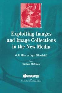 bokomslag Exploiting Images and Image Collections in the New Media