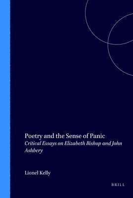 bokomslag Poetry and the Sense of Panic