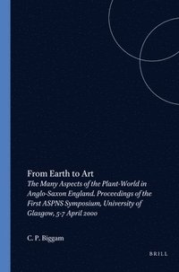 bokomslag From Earth to Art