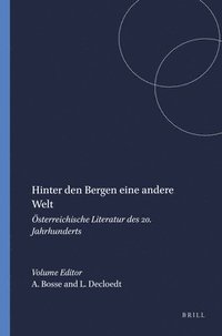 bokomslag Hinter den Bergen eine andere Welt