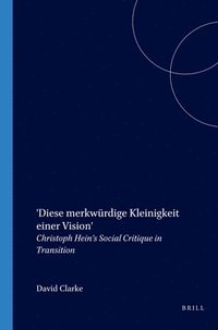 bokomslag 'Diese merkwürdige Kleinigkeit einer Vision'