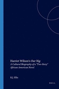 bokomslag Harriet Wilson's Our Nig