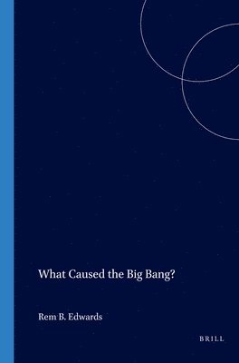 bokomslag What Caused the Big Bang?