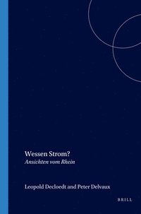 bokomslag Wessen Strom?