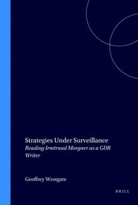 bokomslag Strategies Under Surveillance