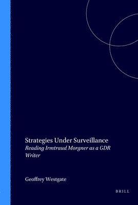 bokomslag Strategies Under Surveillance