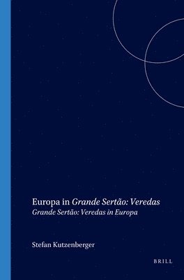 bokomslag Europa in Grande Sertão: Veredas
