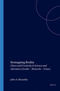 bokomslag Remapping Reality