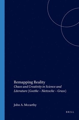 bokomslag Remapping Reality