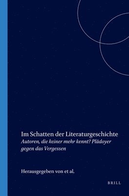 bokomslag Im Schatten der Literaturgeschichte