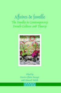 bokomslag Affaires de famille