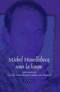 bokomslag Michel Houellebecq sous la loupe