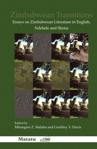 bokomslag Zimbabwean Transitions