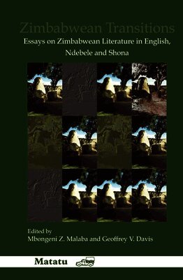 Mbongeni Z. Malaba - Zimbabwean Transitions, Inbunden