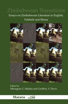 bokomslag Zimbabwean Transitions