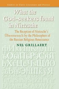 bokomslag What the God-seekers found in Nietzsche