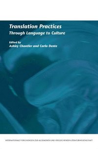 bokomslag Translation Practices