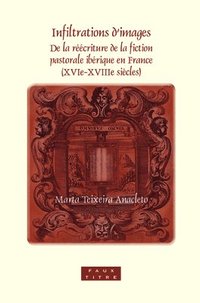 bokomslag Infiltrations d'images
