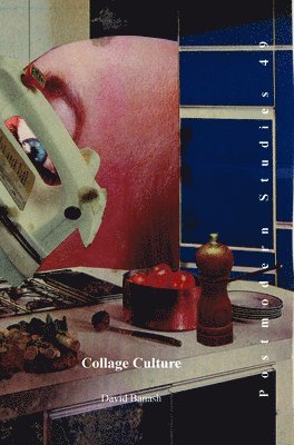 bokomslag Collage Culture