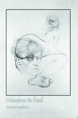 bokomslag Histoires de l'?il