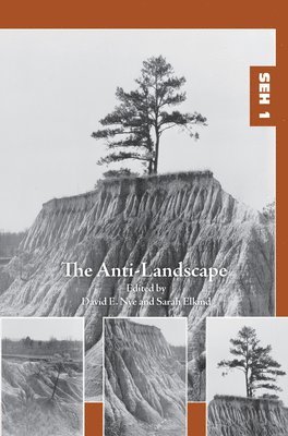 bokomslag Anti-Landscape