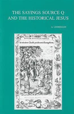 bokomslag Sayings Source Q and the Historical Jesus