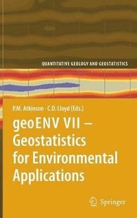 bokomslag geoENV VII - Geostatistics for Environmental Applications