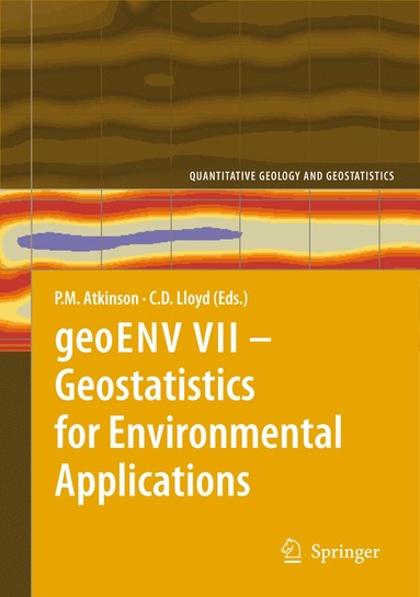 bokomslag geoENV VII - Geostatistics for Environmental Applications