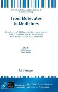 bokomslag From Molecules to Medicines