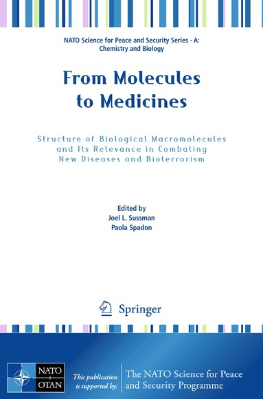 Joel L. Sussman, Paola Spadon - From Molecules to Medicines, Häftad