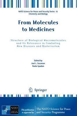 bokomslag From Molecules to Medicines