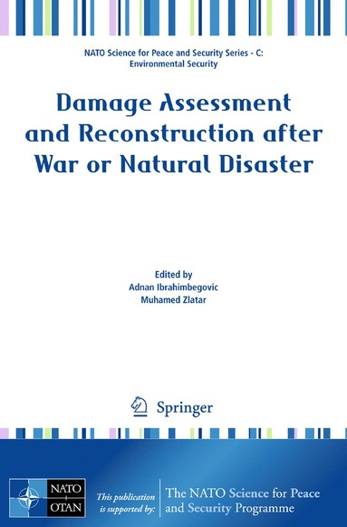 bokomslag Damage Assessment and Reconstruction after War or Natural Disaster