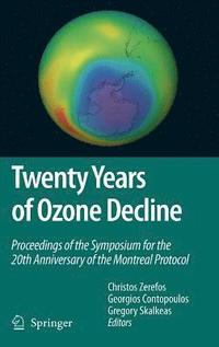 bokomslag Twenty Years of Ozone Decline