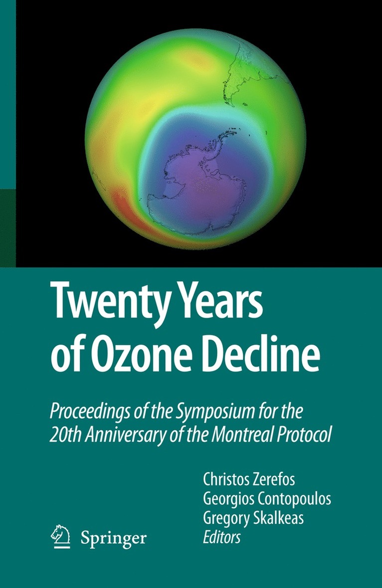 Twenty Years of Ozone Decline 1